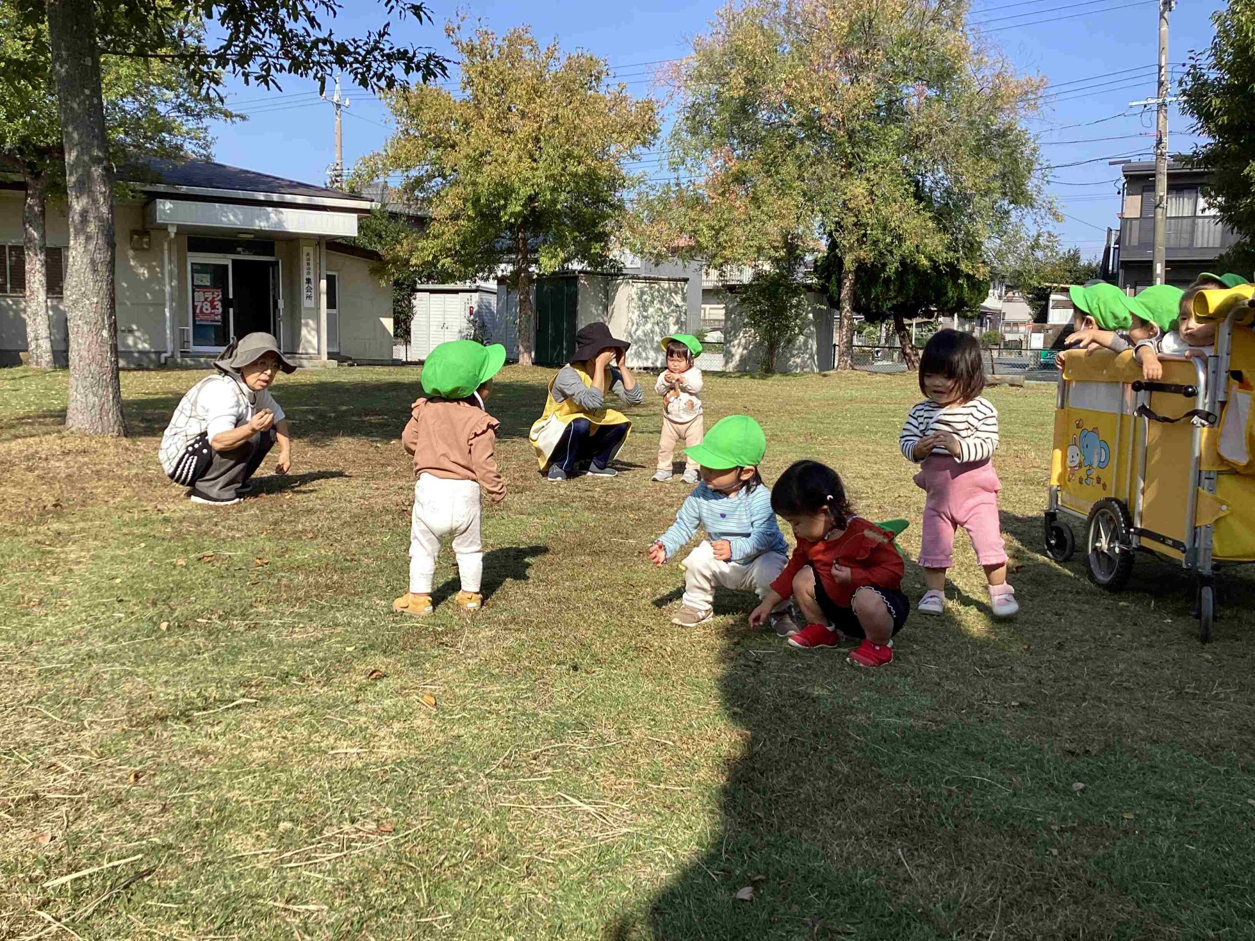 11月の活動の様子