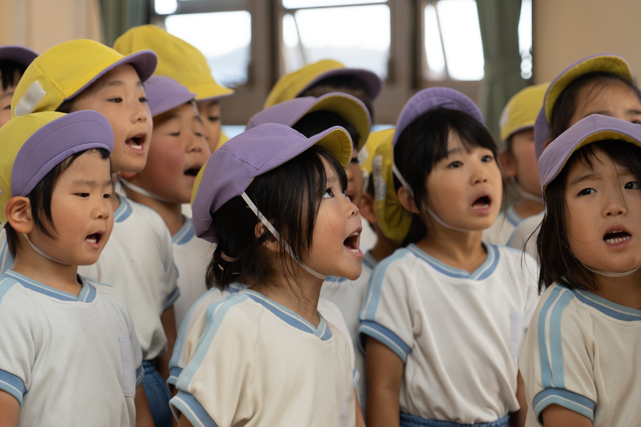 11月の活動の様子